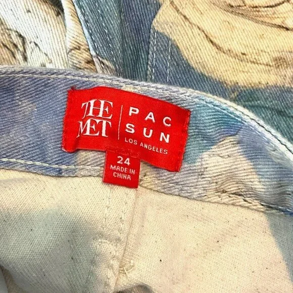 The Met x PacSun Van Gogh Wheat Field With Cypresses Carpenter Pants Size 24 - Picture 9 of 11